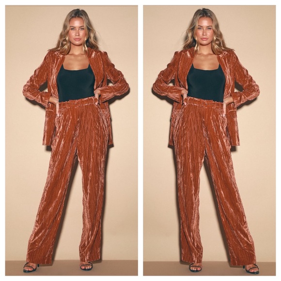 WAYF Velvet High-Waisted pant rust colored Trouser Pant XS - Picture 1 of 16